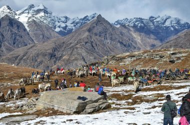 nature, manali, himachal, rohtang, himalaya, horse, snow, landscape, winter, mountains, sky, clouds, fog, travel, manali, manali, manali, manali, manali